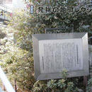 002渋谷区近代学校教育発祥の地(2002)