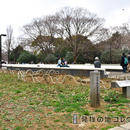 渋谷門から入ると50cmくらいの石碑の案内が辿れる