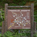 野猿公苑入口近くにある志賀高原案内図