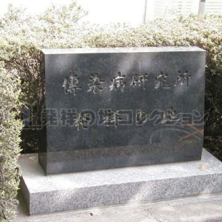 傳染病研究所　近代医学開拓の道のり 医史跡、医資料館探訪記71 近代医科学記念館を訪ねて | 小児歯科