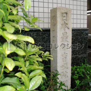 盲唖