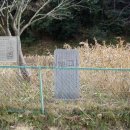 「史跡鶴岡八幡宮境内保存管理計画」見直しの記念碑