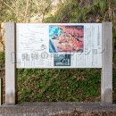 日本で最初に発掘調査された洞窟遺跡
