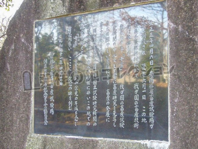 昭和44年 他 茨城県酪農指導所 10年の成果 試験研究報告 現状