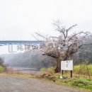「三太物語」発祥の地～道志橋