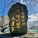 日本発祥の地卑弥呼の里あまぎ(2025)