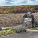 かみふらのラベンダー発祥の地 (東中)