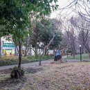 立教学院発祥の地 (2025)