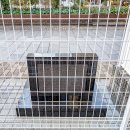 明治学院発祥の地 (2025)