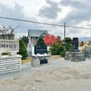 芦別水稲発祥の地