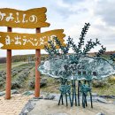 上富良野ラベンダー発祥の地(2025)