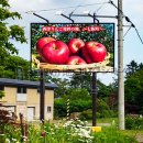 西洋りんご発祥の地