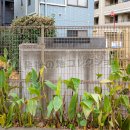 工学院大学学園発祥之地 背面