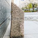 文化学園代々木校地・発祥の地 側面
