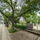 240630青刻昆布発祥の地_全景_20240630_大阪.jpg
