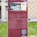 野球試合前挨拶発祥の地