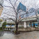 日本橋魚市場発祥の地 (2024)