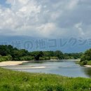 最上川 (2024)
