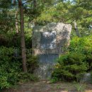 磯節発祥の地 (2024)