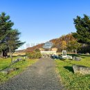 上川水稲発祥之地
