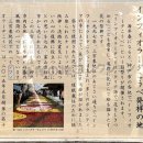 インフィオラータこうべ発祥の地