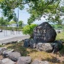 水菜発祥の地 (2025)