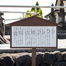 行人塚の大ケヤキ 説明