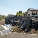 金古の行人塚の大ケヤキ