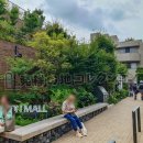 小学校と幼稚園を創設（自由ヶ丘学園）