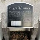 アイメイト発祥の地