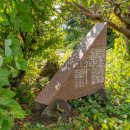 りんりんロード桜並木発祥の地(2025)
