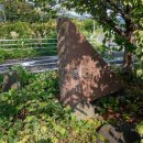 りんりんロード桜並木発祥の地(2025)