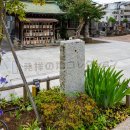 登戸小学校発祥之地 背面(2026)