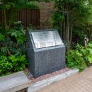 小学校と幼稚園を創設（自由ヶ丘学園）