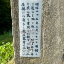 荷卸の松(2026)