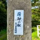 荷卸の松(2026)