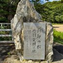 荷卸しの松丹羽発祥之地(2026)