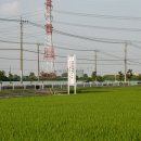 徳川氏発祥の地尾島町