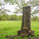 埼玉緬羊発祥之地 (2026)