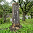 埼玉緬羊発祥之地 背面碑文(2026)
