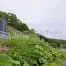 植別校発祥の地