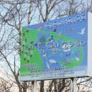 海は森の大切な友達