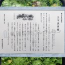 国内で初めての大規模で、かつ本格的な発掘調査