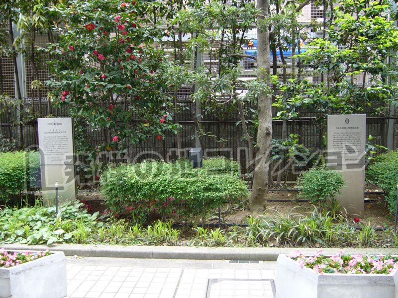 大阪外国語大学70年史 さよなら大阪大学外国語学部(旧大阪外国語大学)箕面間谷