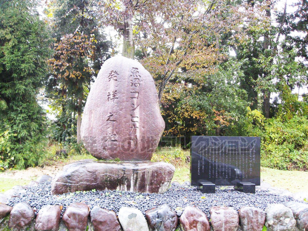 魚沼コシヒカリ発祥之地 発祥の地コレクション